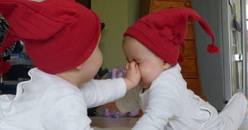 Pixabay/pvandermaesen0